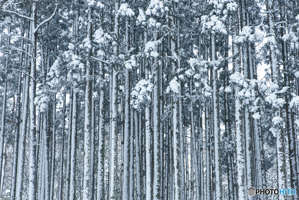 雪花