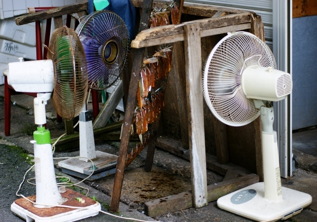 初夏の陽気 