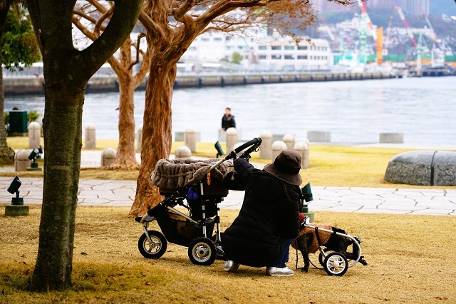 僕は五輪車の後輪 