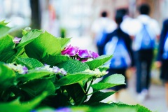 リュックはブルー