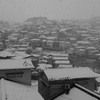 積雪（入院中はお休みします）