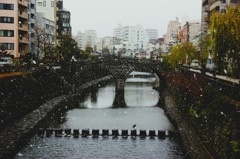 雪の眼鏡橋とサギ