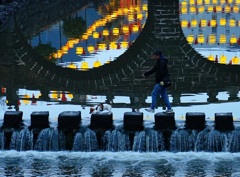 ワンちゃん川を渡る