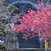 晧台寺は春