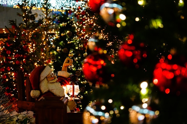 イルミスタジアムシティ(3) サンタ 