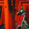 玉園稲荷神社 