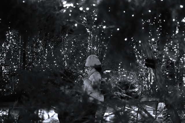 イルミネーション 長崎駅(2)  アミュプラザ新館