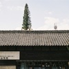 初秋の西の原 