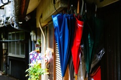 色とりどりの路地の傘