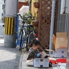 猫かもしれない(笑)