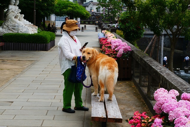 マイひな壇見っけ♪ 