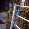三段違い平行棒ではしゃぐ