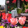 message to flowers