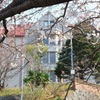 開花はじめの活水女子大