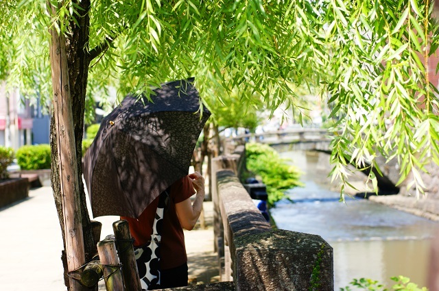 梅雨の晴れ間