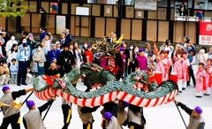龍踊り 五嶋町