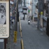 丸山本通り今昔