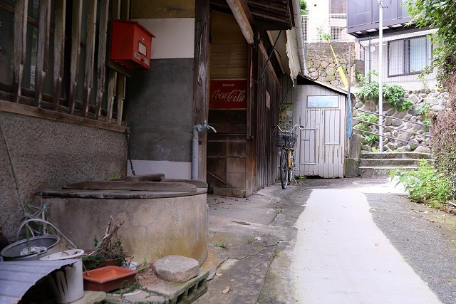 白い道