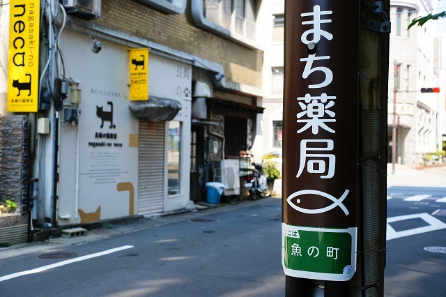 魚の町と猫