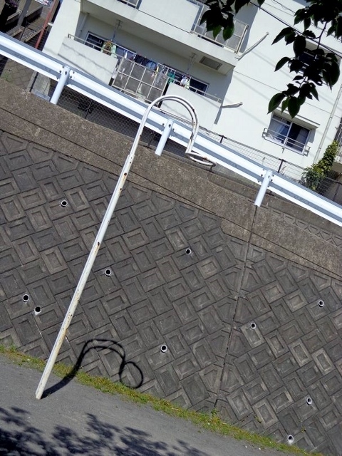 お陽さまのご挨拶　　