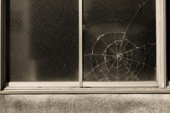WEB