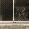 WEB