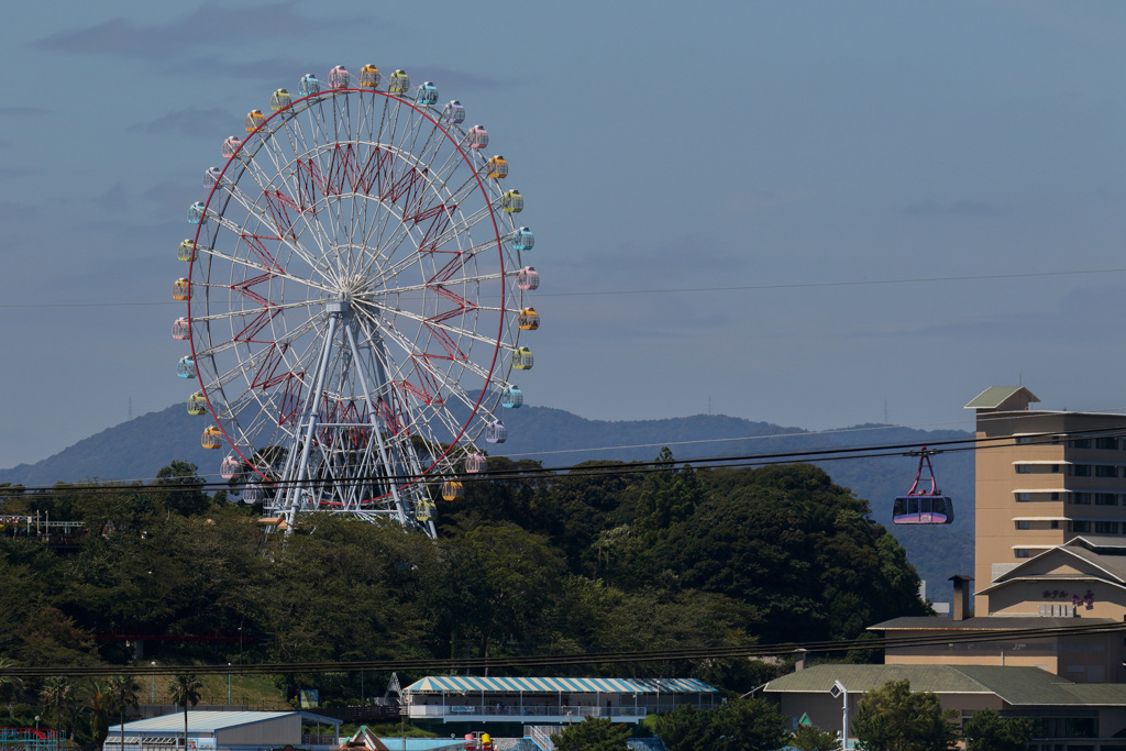 浜松市動物園