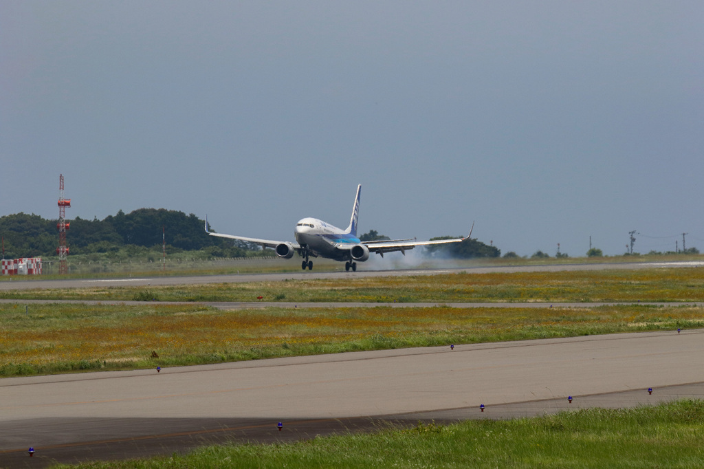 EOS 7D Mk IIで静岡空港