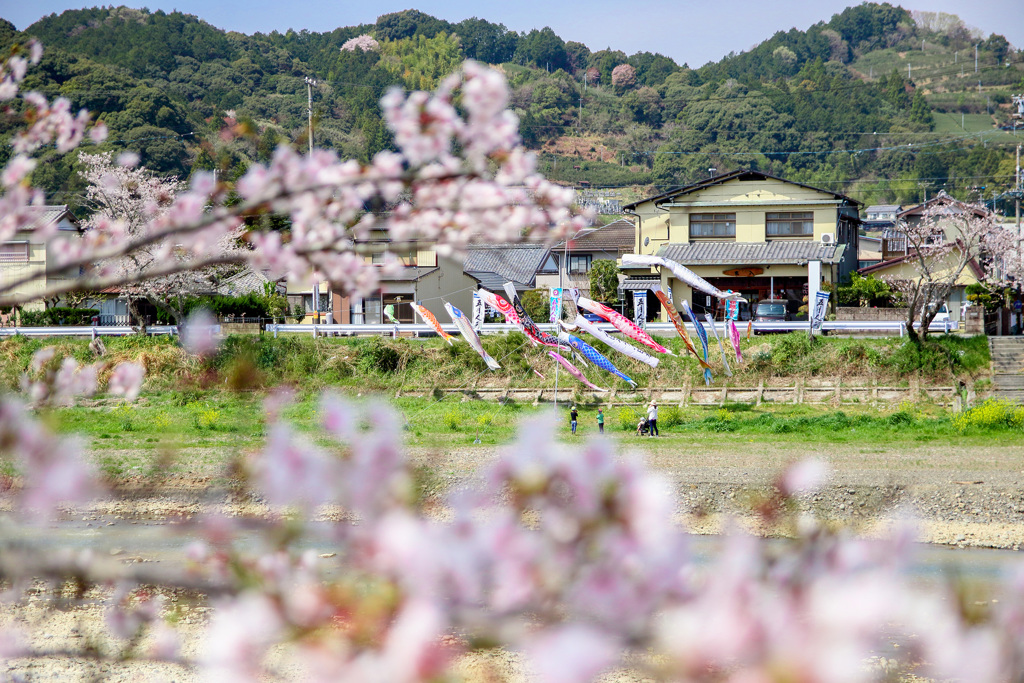 春から初夏へ