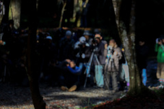 小國神社　リベンジ