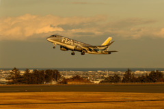 静岡空港