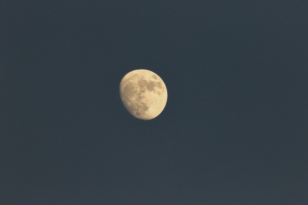 レンズのテスト　EF100-400mm F4.5-5.6L IS II USM
