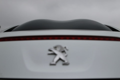 エコパサンデーラン