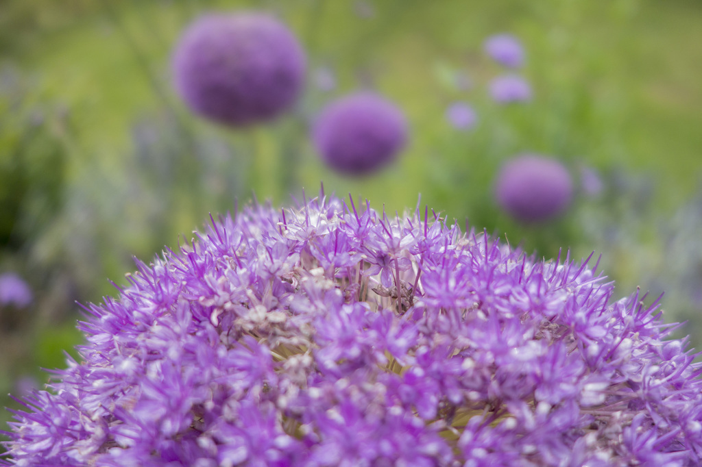 RX100　実戦投入