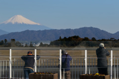 チャンス到来！