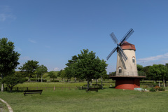 レンズのテスト