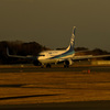737