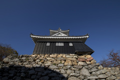 浜松城公園