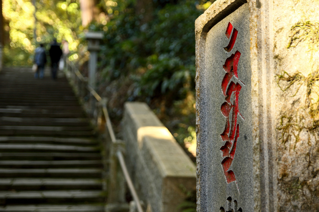 レンズテスト　SIGMA17-50mmF2.8