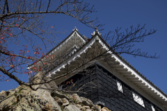 浜松城公園