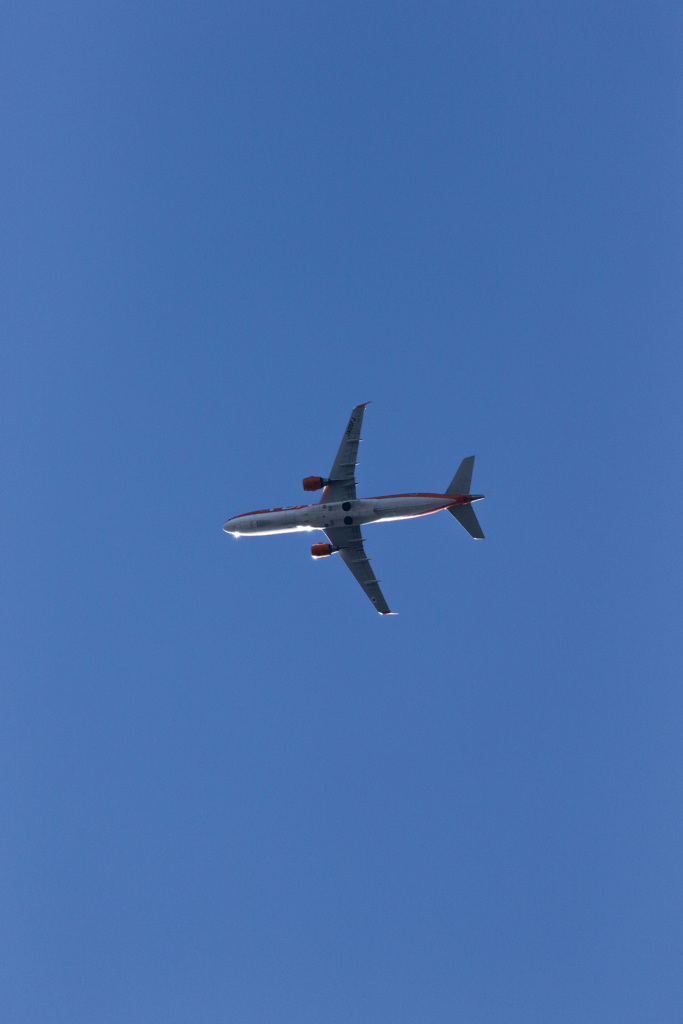 レンズテスト　EF100-400mm F4.5-5.6L IS II USM