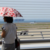 セントレア　飛行機大好き