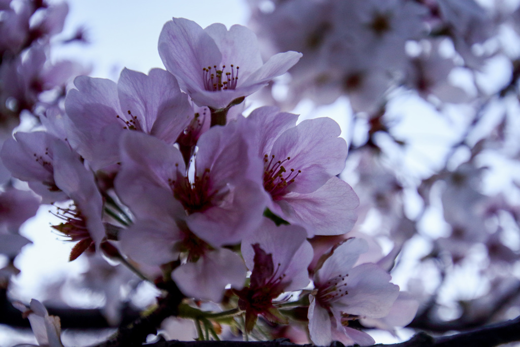 レンズ ノ シュギョウ