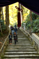 レンズテスト　SIGMA17-50mmF2.8