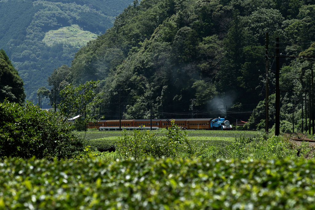 大井川鉄道