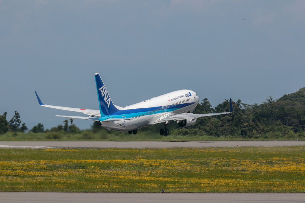 静岡空港