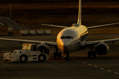 静岡空港2018撮り初め