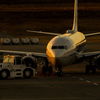 静岡空港2018撮り初め