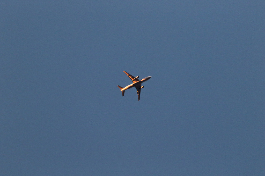 レンズのテスト　EF100-400mm F4.5-5.6L IS II USM