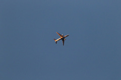 レンズのテスト　EF100-400mm F4.5-5.6L IS II USM